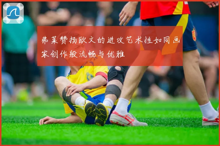 弗莱赞扬欧文的进攻艺术性如同画家创作般流畅与优雅