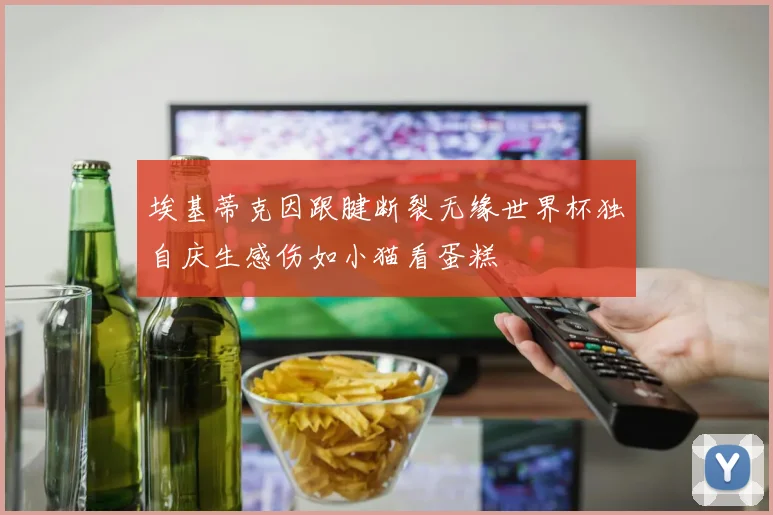 埃基蒂克因跟腱断裂无缘世界杯独自庆生感伤如小猫看蛋糕