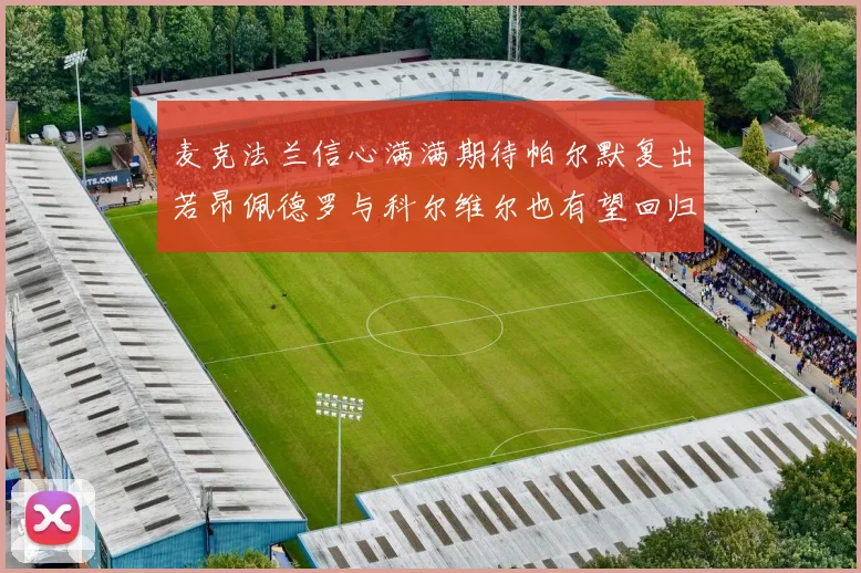 麦克法兰信心满满期待帕尔默复出若昂佩德罗与科尔维尔也有望回归